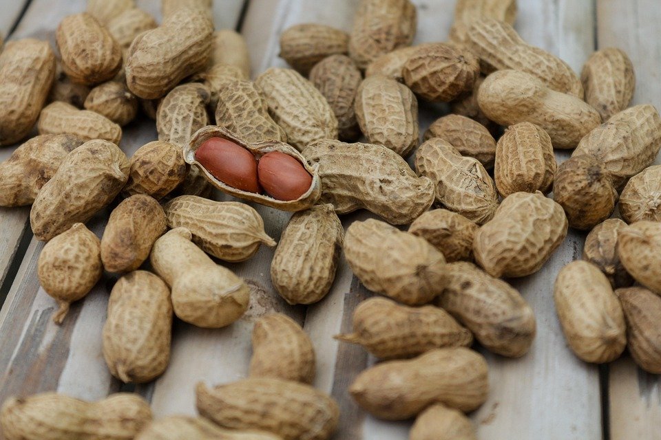peanuts-1850809_960_720.jpg
