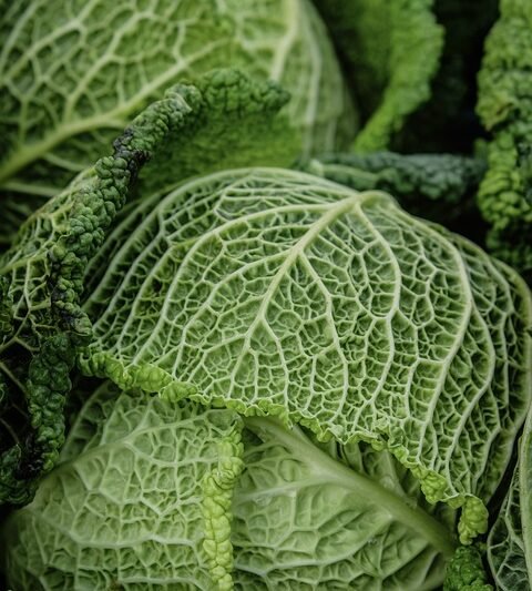 Belly Fat Be Gone: Top Diet Strategies for Rapid Results